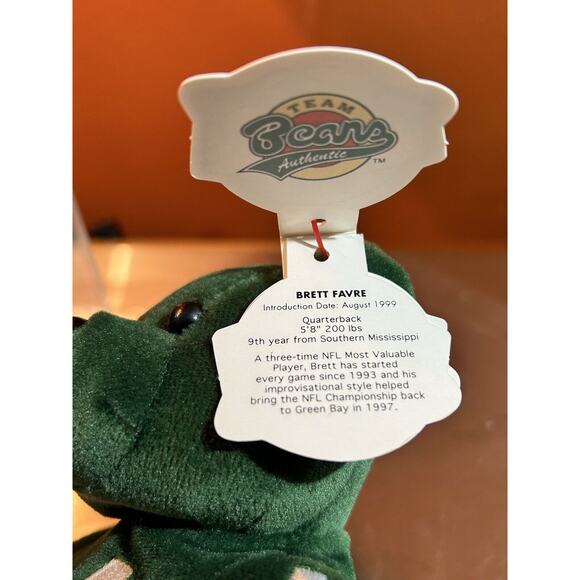 Pigskin Bears Green Bay Packers NFL Bear: Brett Favre #4 - August 1999 - Picture 5 of 7